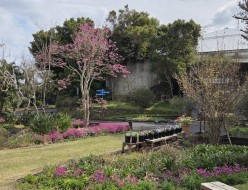 o1080081015758034038